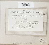 Image Associated With the Occurrence