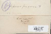 Image Associated With the Occurrence