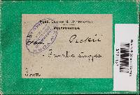 Coriolopsis gallica image