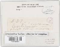 Image Associated With the Occurrence