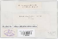 Image Associated With the Occurrence