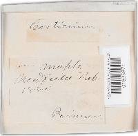 Image Associated With the Occurrence