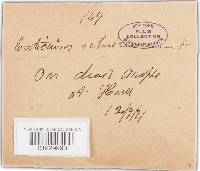 Image Associated With the Occurrence