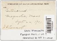 Image Associated With the Occurrence