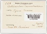 Image Associated With the Occurrence