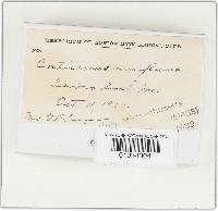 Image Associated With the Occurrence