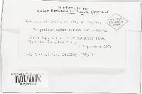 Cortinarius armillatus image