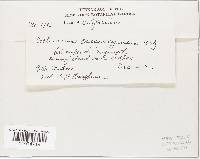 Image Associated With the Occurrence