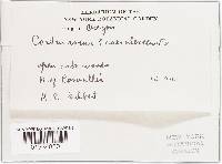 Image Associated With the Occurrence