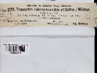 Image Associated With the Occurrence