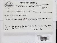 Image Associated With the Occurrence