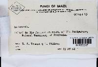 Image Associated With the Occurrence