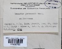 Image Associated With the Occurrence