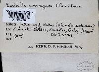 Thumbnail image of current specimen