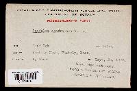 Image Associated With the Occurrence