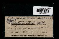 Image Associated With the Occurrence