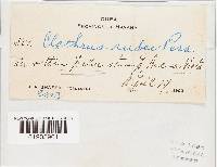 Image Associated With the Occurrence