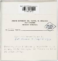 Image Associated With the Occurrence