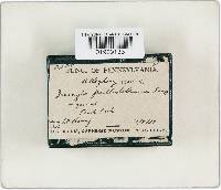 Image Associated With the Occurrence