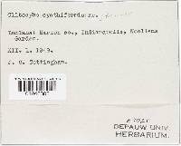 Image Associated With the Occurrence