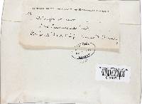 Pseudoclitocybe cyathiformis image