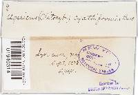 Image Associated With the Occurrence