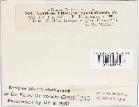 Image Associated With the Occurrence