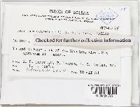 Geastrum schweinitzii image