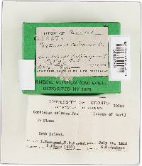 Image Associated With the Occurrence