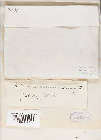 Image Associated With the Occurrence