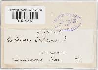 Image Associated With the Occurrence