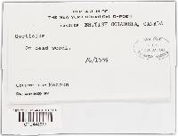 Image Associated With the Occurrence