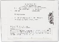 Image Associated With the Occurrence