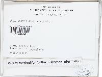 Image Associated With the Occurrence