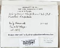 Image Associated With the Occurrence