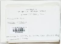 Image Associated With the Occurrence