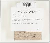 Image Associated With the Occurrence