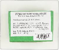 Image Associated With the Occurrence