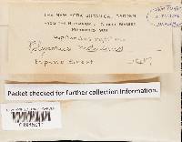 Image Associated With the Occurrence