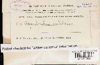 Image Associated With the Occurrence