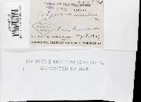 Image Associated With the Occurrence