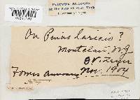 Image Associated With the Occurrence