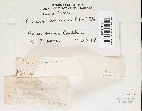 Image Associated With the Occurrence