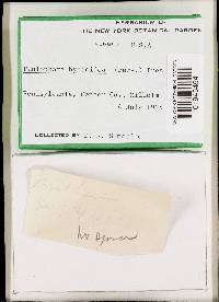 Image Associated With the Occurrence