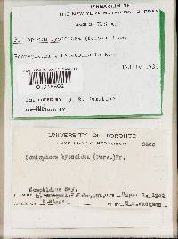 Image Associated With the Occurrence