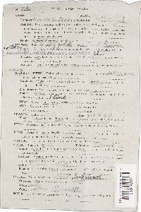 Hohenbuehelia petaloides image