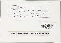 Gautieria retirugosa image