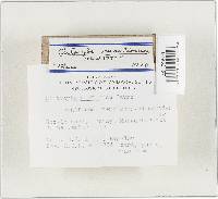 Image Associated With the Occurrence