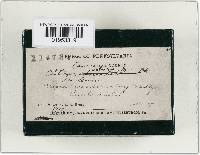 Thumbnail image of current specimen