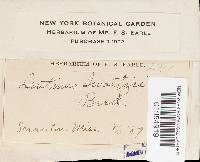 Image Associated With the Occurrence